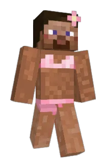 plo291 Minecraft avatar full body