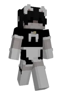 plokye Minecraft avatar full body