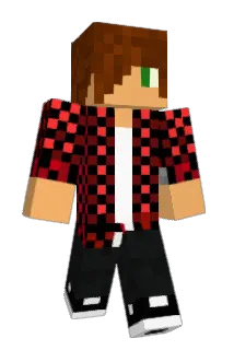 plspls25 Minecraft avatar full body
