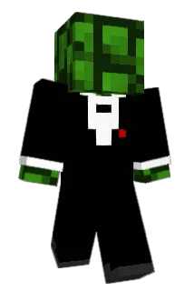 plumberrr Minecraft avatar full body