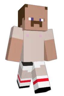 plundrshoe Minecraft avatar full body