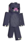 plutospity Minecraft avatar full body