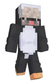 pmazelee Minecraft avatar full body