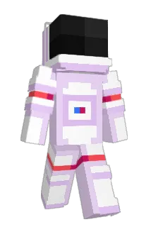pmflex1 Minecraft avatar full body