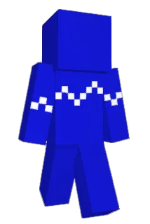 pnel Minecraft avatar full body