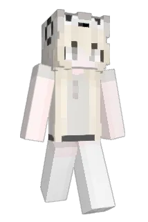 po1l Minecraft avatar full body
