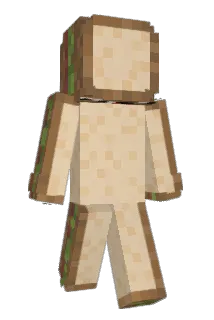 poarnZX Minecraft avatar full body