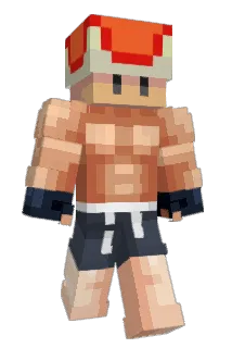 poc2 Minecraft avatar full body