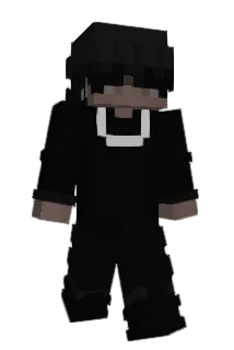 pocaken Minecraft avatar full body