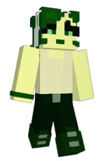 pochielinaa Minecraft avatar full body