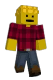 pocket_sized Minecraft avatar full body