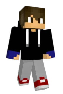 pocttit Minecraft avatar full body