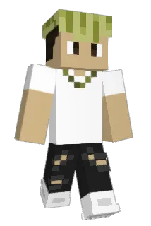 pocztuu Minecraft avatar full body