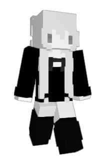 poefq Minecraft avatar full body
