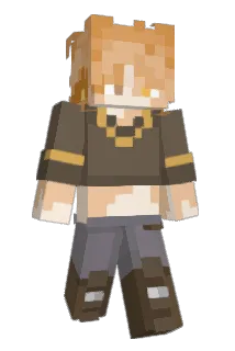 poipom_ Minecraft avatar full body