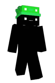 poiz Minecraft avatar full body