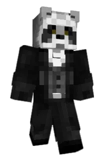 pojken18 Minecraft avatar full body