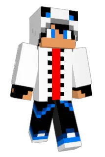 pok6 Minecraft avatar full body