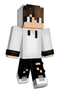 pokehansel Minecraft avatar full body