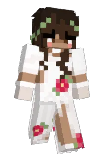 pokekrys Minecraft avatar full body