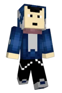 pokeninja2086 Minecraft avatar full body