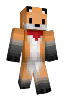 pokoo Minecraft avatar full body
