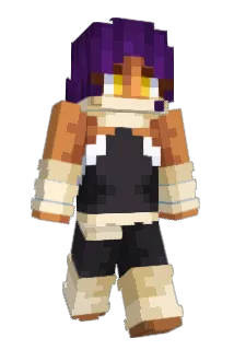 pokoplokop2000 Minecraft avatar full body