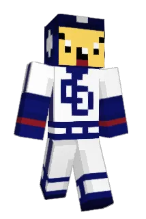 pokotam Minecraft avatar full body