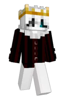 pokuhh Minecraft avatar full body
