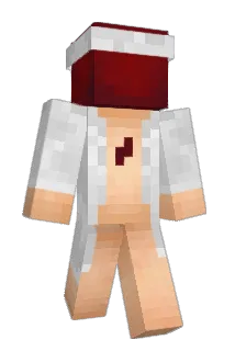 pol4nek Minecraft avatar full body