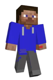 pol_39_ Minecraft avatar full body