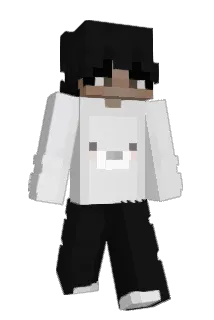 polarate Minecraft avatar full body