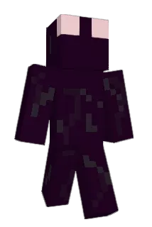 polcodot Minecraft avatar full body