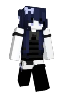 policjaa Minecraft avatar full body