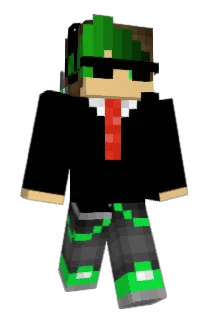 polishbobra Minecraft avatar full body