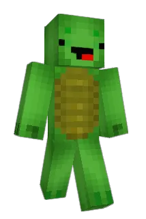 polishtintin Minecraft avatar full body