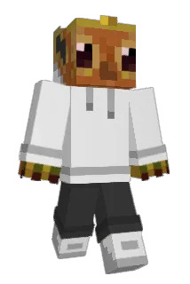 polliexd Minecraft avatar full body