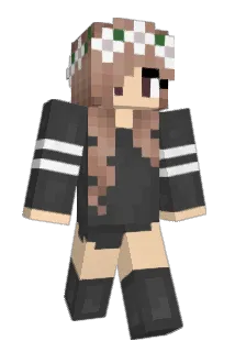 polnareffed Minecraft avatar full body