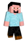 polnio Minecraft avatar full body