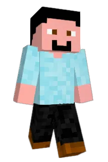 polnio Minecraft avatar full body