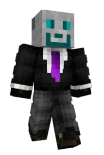 polofastter Minecraft avatar full body