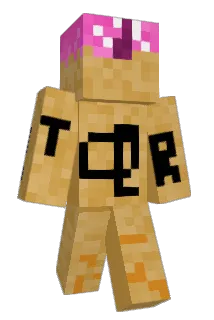 polsehulk Minecraft avatar full body