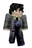 polynnomial Minecraft avatar full body
