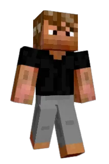 polyspaston Minecraft avatar full body