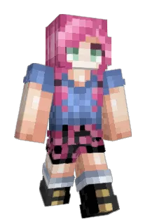 polytatsumi Minecraft avatar full body