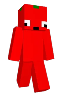 pomidorek123 Minecraft avatar full body