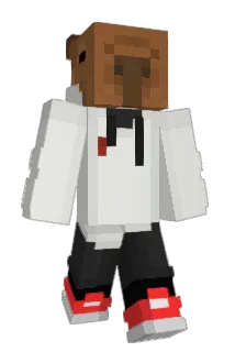 pomme45 Minecraft avatar full body