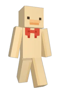 poncha_ Minecraft avatar full body