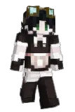ponkaas Minecraft avatar full body