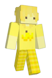 poo__ Minecraft avatar full body